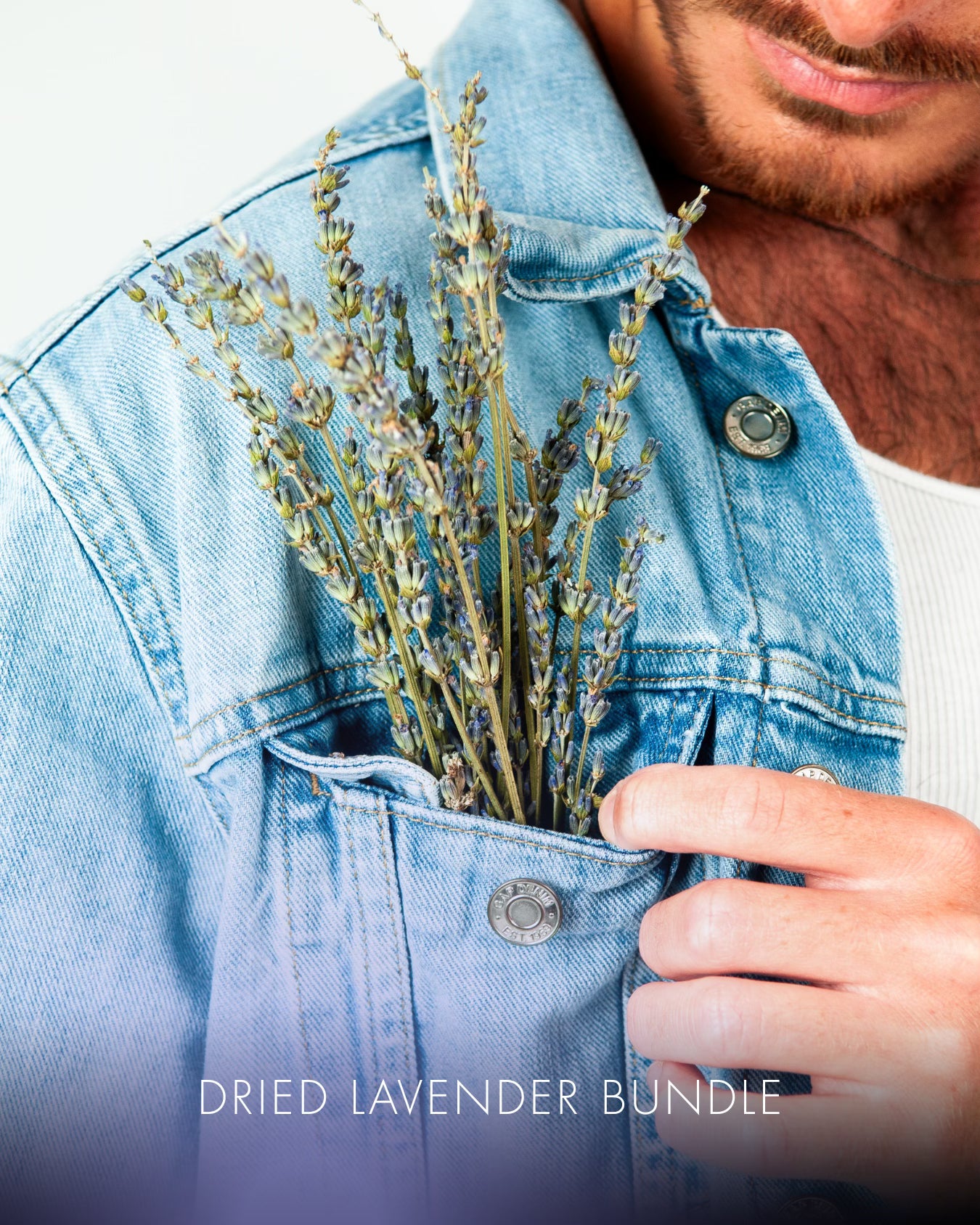 Dried Lavender bundle