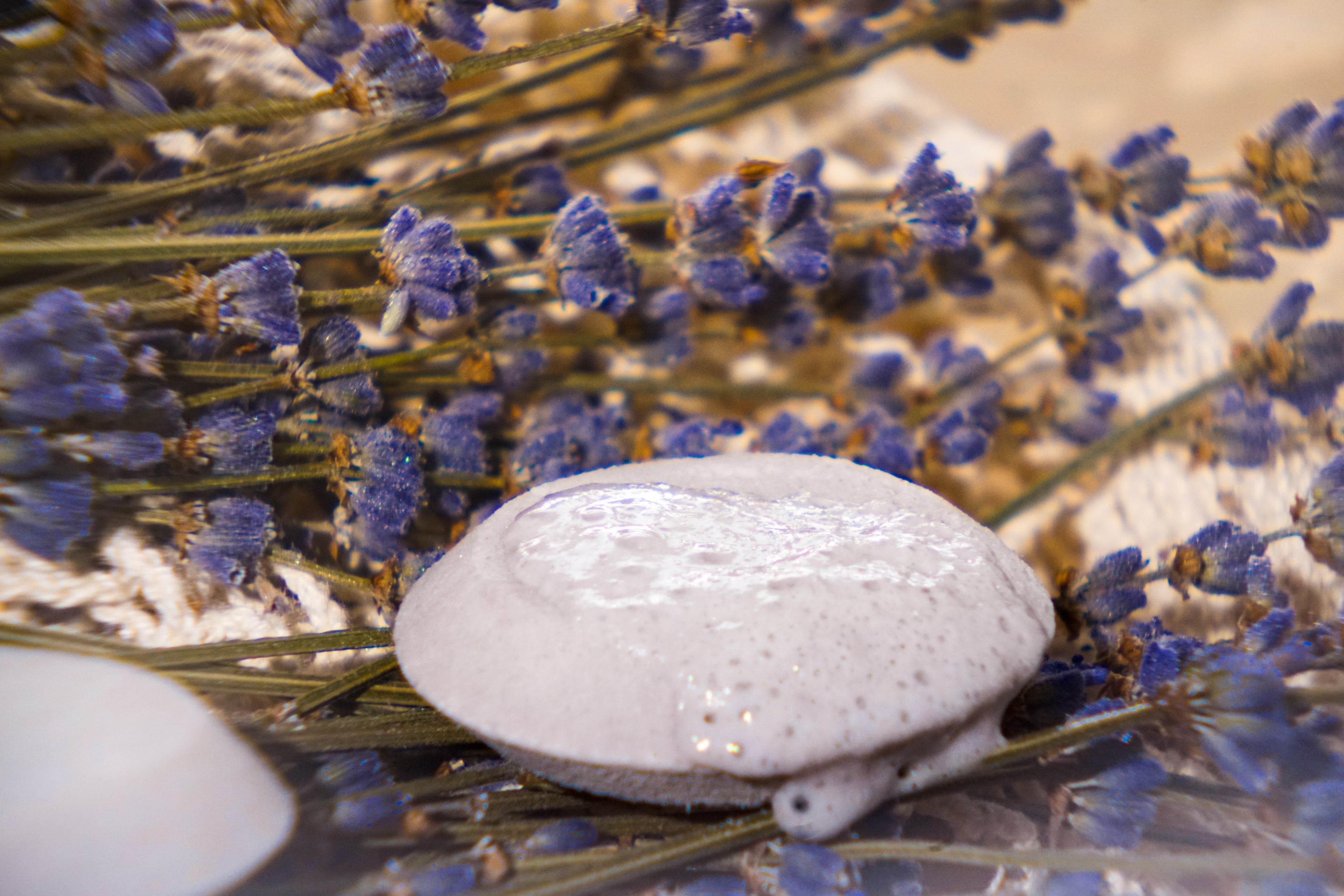 lavender plant in shower Lavender Shower Bomb