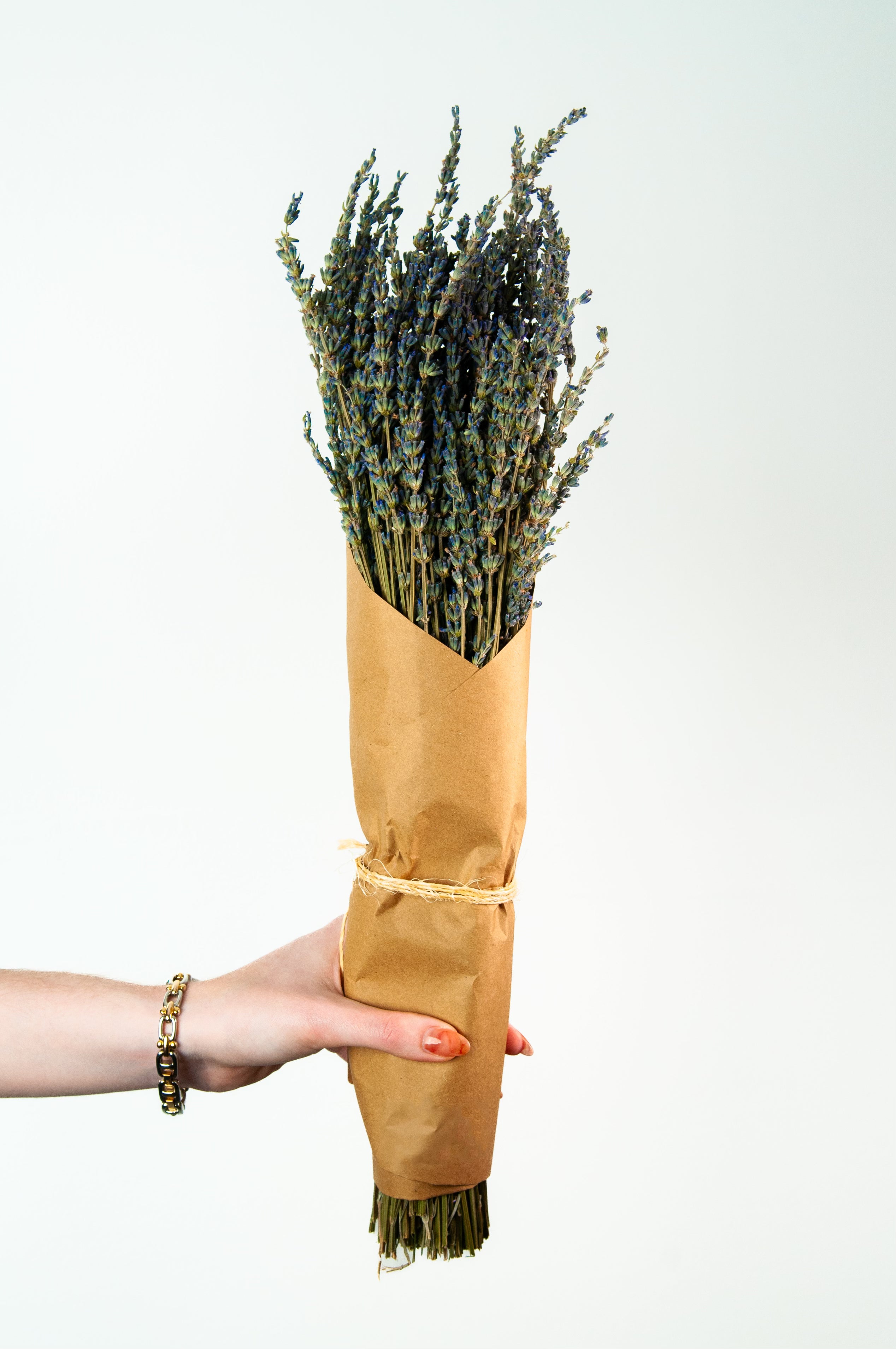 Dried Lavender bundle