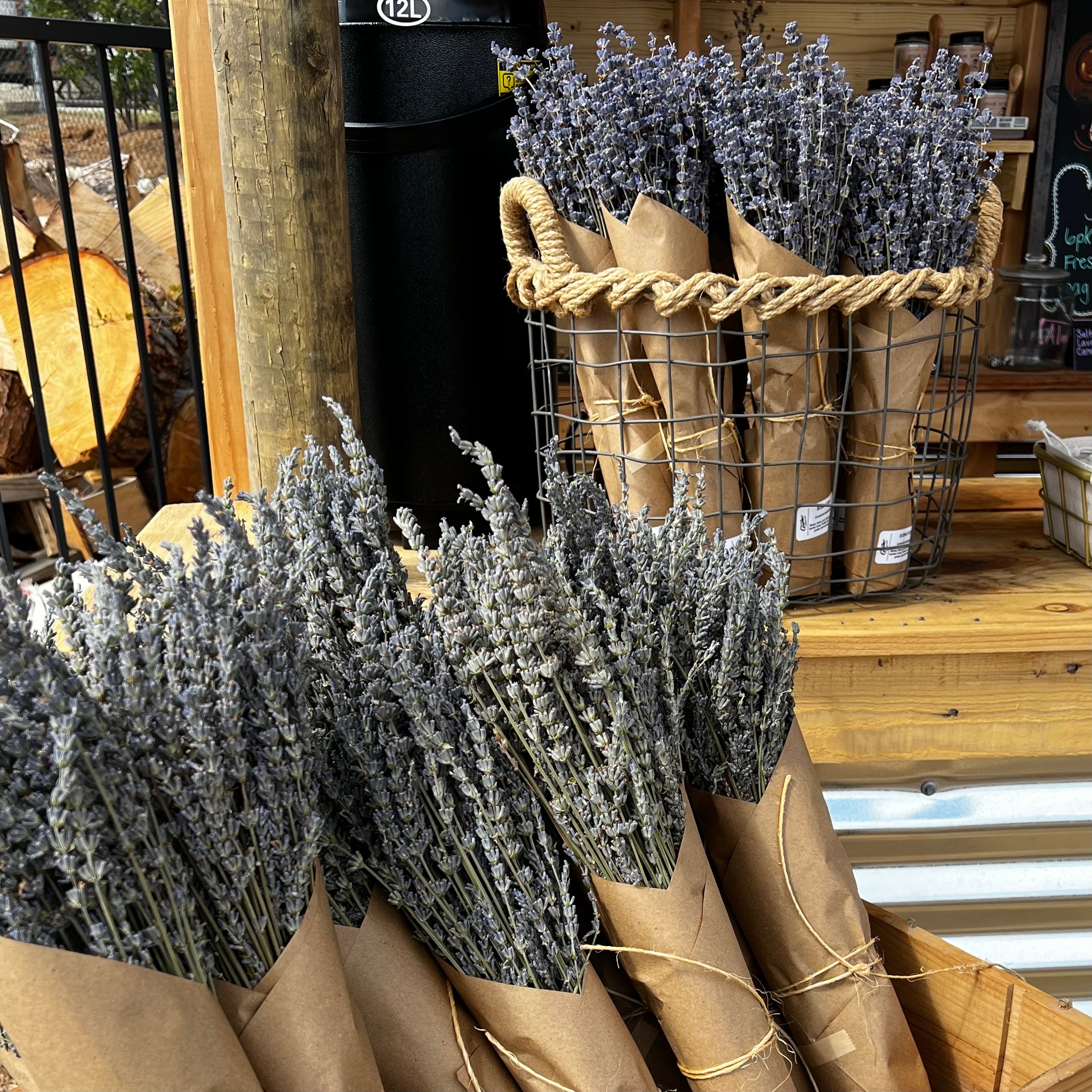 Dried Lavender bundle