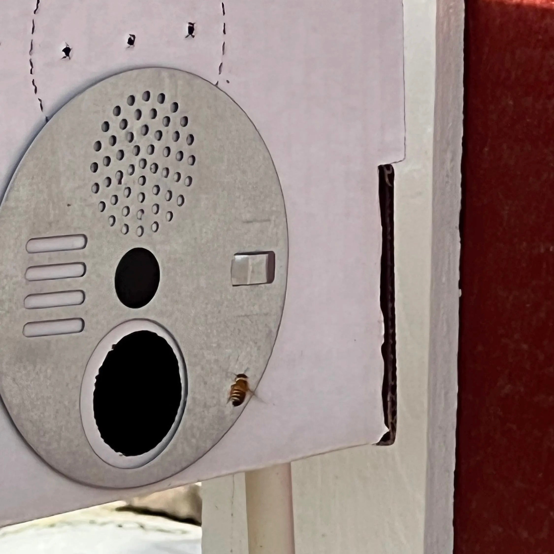 Groovy Gopher 5-Frame Wax-Coated Beekeeper's Nuc Box