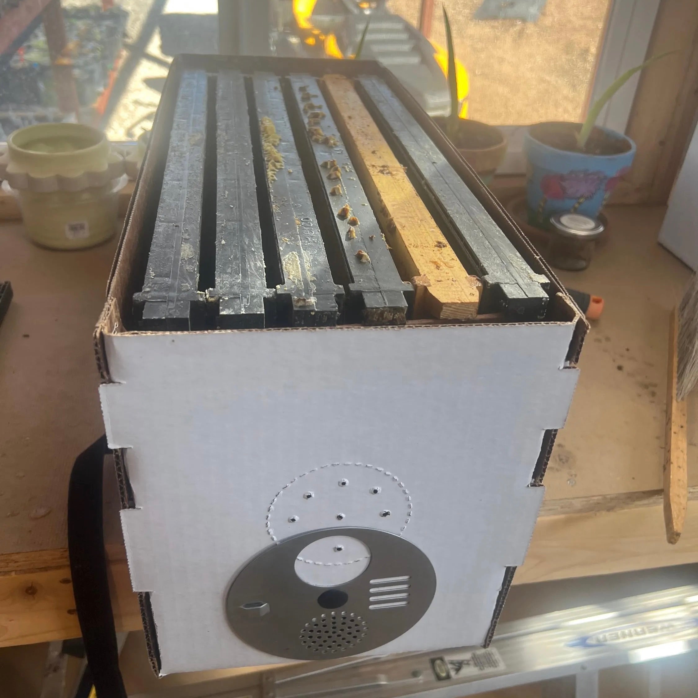 Groovy Gopher 5-Frame Wax-Coated Beekeeper's Nuc Box