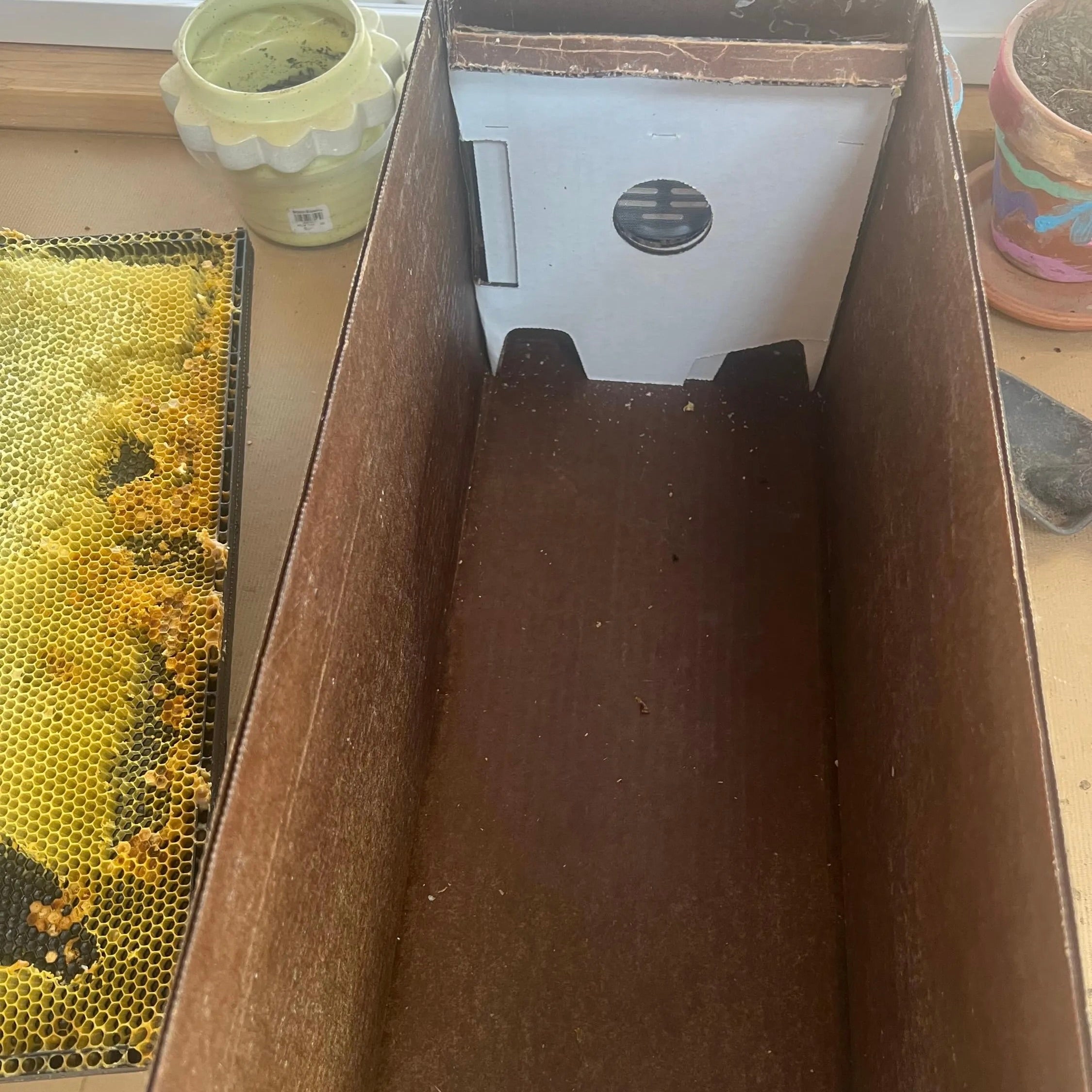 Groovy Gopher 5-Frame Wax-Coated Beekeeper's Nuc Box
