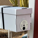 Groovy Gopher 5-Frame Wax-Coated Beekeeper's Nuc Box